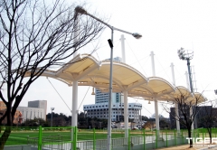 �켮 ���б� �״ø�