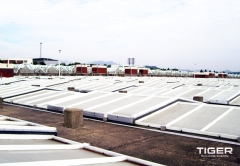 ������ �������